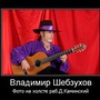 Аватар пользователя ВЛАДИМИР ШЕБЗУХОВ