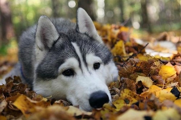 Профиль