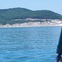 Аватар пользователя Александр Широков bambei.2010