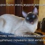 Аватар пользователя ольга злютикова