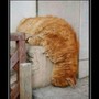 Аватар пользователя Владимир vladimir.savr