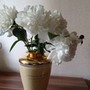 Аватар пользователя Валентина Польшакова