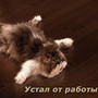 Аватар пользователя Саша xoka69